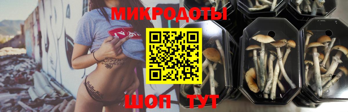 Качканар  Псилоцибиновые грибы мухоморы  Вход с VPN 